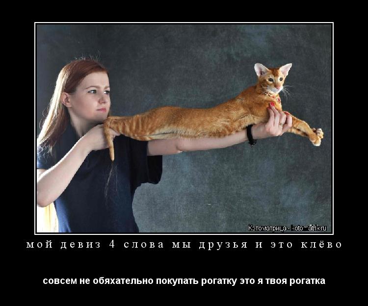 мой девиз 4 слова мы друзья и это клёво совсем не обяхательно покупать рогатку это я твоя рогатка... Котоматрица: мой девиз 4 слова мы друзья и это клёво совсем не обяхательно покупать рогатку это я твоя рогатка