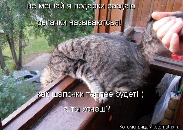 не мешай я подарки раздаю рыгачки называютсья! как шапочки теплее будет!:) а ты хочеш?... Котоматрица: не мешай я подарки раздаю рыгачки называютсья! как шапочки теплее будет!:) а ты хочеш?