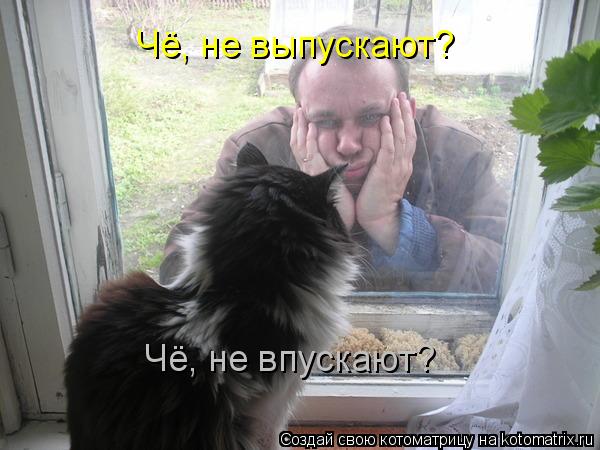Чё, не впускают? Чё, не выпускают?... Котоматрица: Чё, не впускают? Чё, не выпускают?