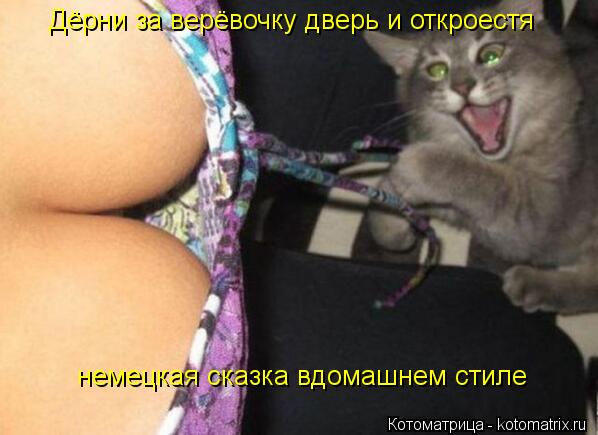 Дёрни за верёвочку дверь и откроестя немецкая сказка вдомашнем стиле... Котоматрица: Дёрни за верёвочку дверь и откроестя немецкая сказка вдомашнем стиле