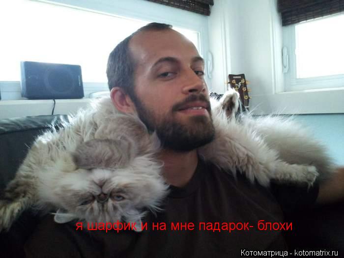 я шарфик и на мне падарок- блохи... Котоматрица: я шарфик и на мне падарок- блохи