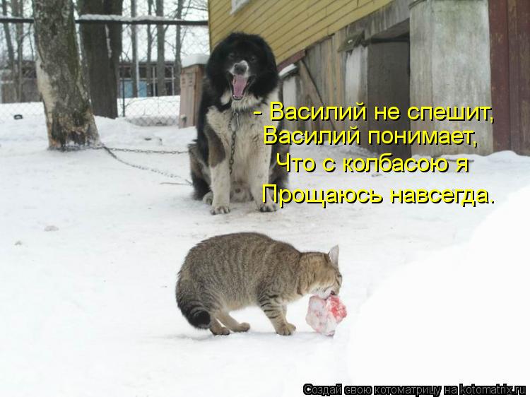 Василий понимает, - Василий не спешит, Что с колбасою я Прощаюсь навсегда.... Котоматрица: Василий понимает, - Василий не спешит, Что с колбасою я Прощаюсь навсегда.