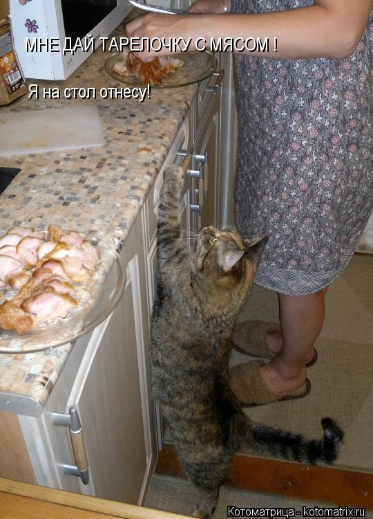 МНЕ ДАЙ ТАРЕЛОЧКУ С МЯСОМ ! Я на стол отнесу!... Котоматрица: МНЕ ДАЙ ТАРЕЛОЧКУ С МЯСОМ ! Я на стол отнесу!
