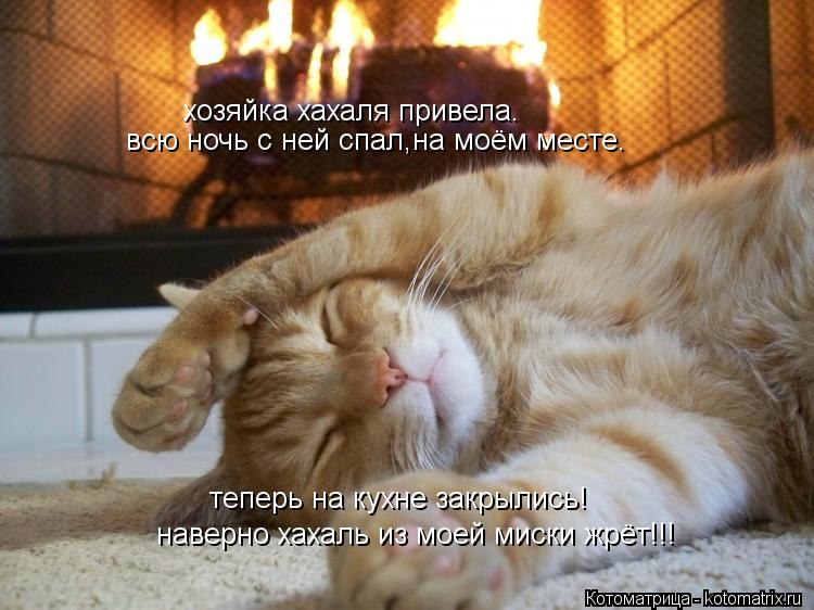 хозяйка хахаля привела. всю ночь с ней спал,на моём месте. теперь на кухне закрылись! наверно хахаль ... Котоматрица: хозяйка хахаля привела. всю ночь с ней спал,на моём месте. теперь на кухне закрылись! наверно хахаль из моей миски жрёт!!!