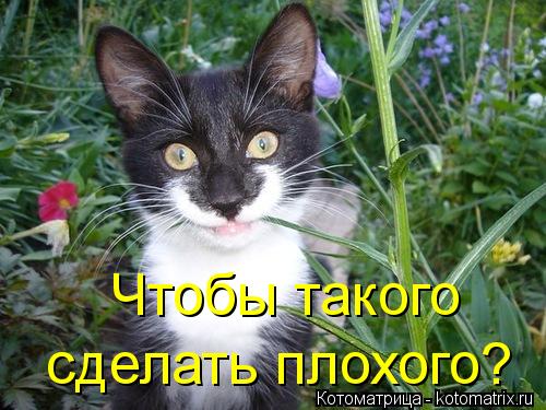 Чтобы такого сделать плохого?... Котоматрица: Чтобы такого сделать плохого?