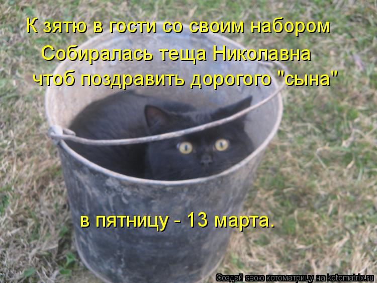 К зятю в гости со своим набором Собиралась теща Николавна чтоб поздравить дорогого "сына" в пятницу -... Котоматрица: К зятю в гости со своим набором Собиралась теща Николавна чтоб поздравить дорогого "сына" в пятницу - 13 марта.