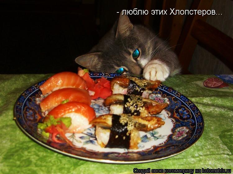 - люблю этих Хлопстеров...... Котоматрица: - люблю этих Хлопстеров...