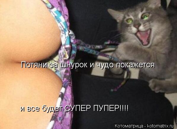Потяни за шнурок и чудо покажется и все будет СУПЕР ПУПЕР!!!!... Котоматрица: Потяни за шнурок и чудо покажется и все будет СУПЕР ПУПЕР!!!!