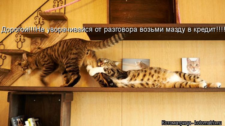 Дорогой!!!Не уворачивайся от разговора возьми мазду в кредит!!!!... Котоматрица: Дорогой!!!Не уворачивайся от разговора возьми мазду в кредит!!!!