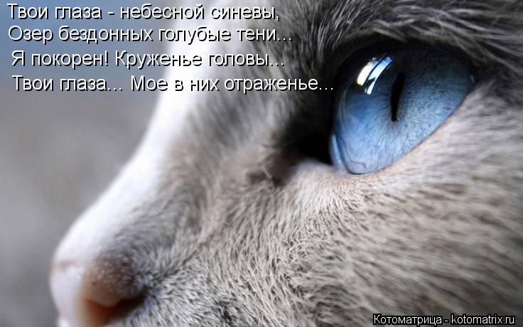 Твои глаза - небесной синевы, Озер бездонных голубые тени... Я покорен! Круженье головы... Твои глаза... Котоматрица: Твои глаза - небесной синевы, Озер бездонных голубые тени... Я покорен! Круженье головы... Твои глаза... Мое в них отраженье...