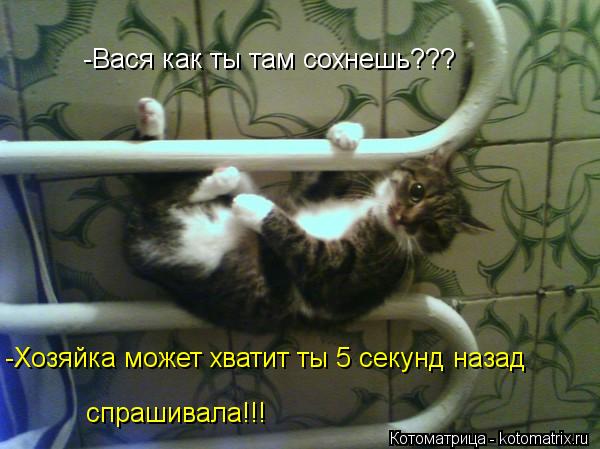 -Вася как ты там сохнешь??? -Хозяйка может хватит ты 5 секунд назад спрашивала!!!... Котоматрица: -Вася как ты там сохнешь??? -Хозяйка может хватит ты 5 секунд назад спрашивала!!!