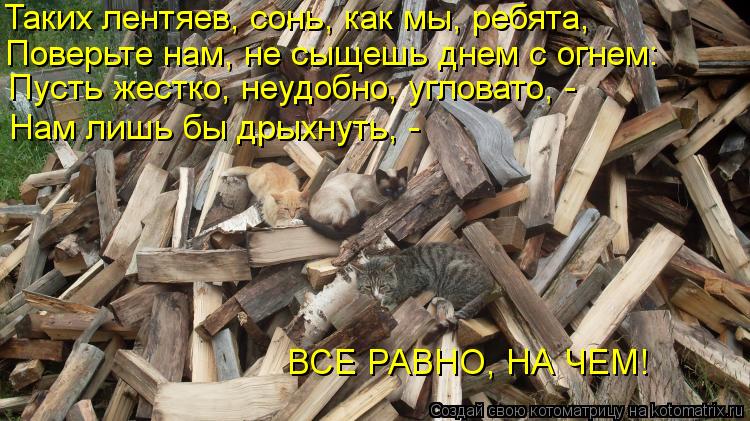 Таких лентяев, сонь, как мы, ребята, Поверьте нам, не сыщешь днем с огнем: Пусть жестко, неудобно, уг... Котоматрица: Таких лентяев, сонь, как мы, ребята, Поверьте нам, не сыщешь днем с огнем: Пусть жестко, неудобно, угловато, - Нам лишь бы дрыхнуть, - ВСЕ РАВНО,