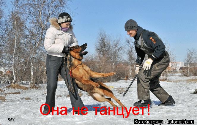 Она не танцует!... Котоматрица: Она не танцует!