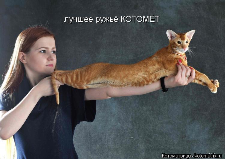 лучшее ружьё КОТОМЁТ... Котоматрица: лучшее ружьё КОТОМЁТ