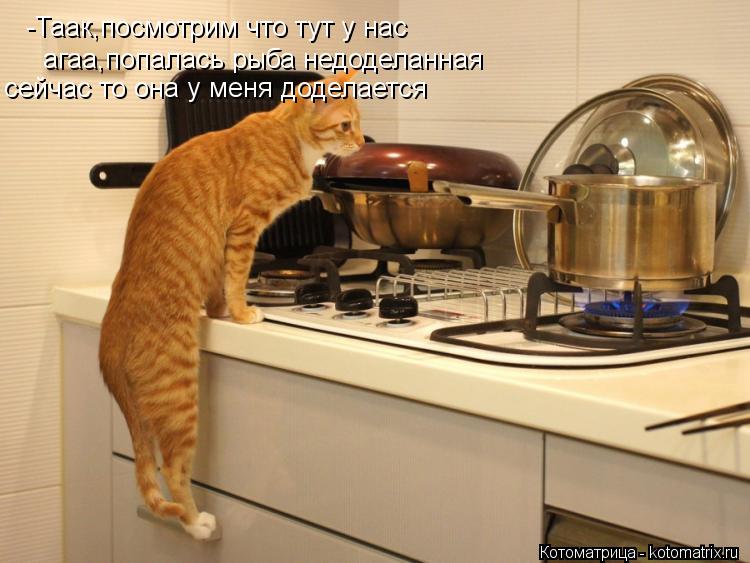 -Таак,посмотрим что тут у нас агаа,попалась рыба недоделанная сейчас то она у меня доделается... Котоматрица: -Таак,посмотрим что тут у нас агаа,попалась рыба недоделанная сейчас то она у меня доделается