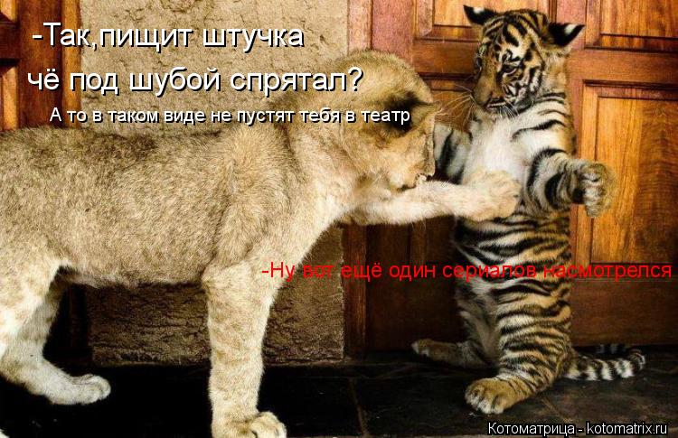 -Так,пищит штучка чё под шубой спрятал? А то в таком виде не пустят тебя в театр -Ну вот ещё один се... Котоматрица: -Так,пищит штучка чё под шубой спрятал? А то в таком виде не пустят тебя в театр -Ну вот ещё один сериалов насмотрелся