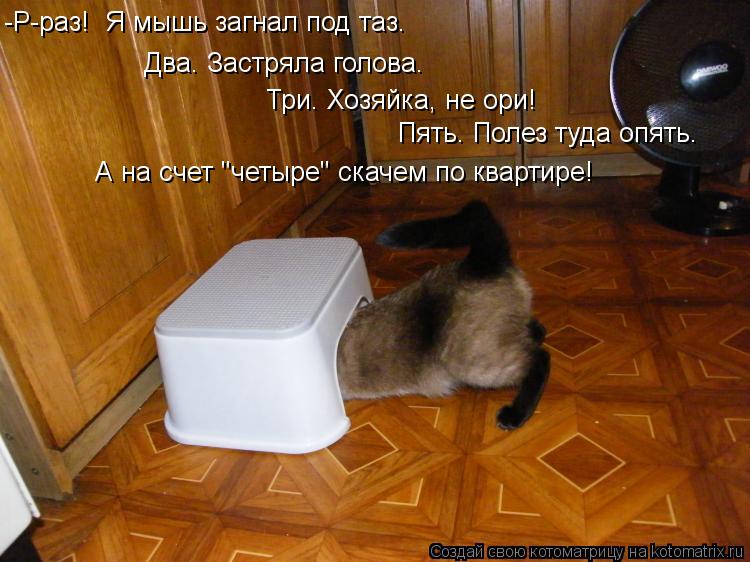 Два. Застряла голова. Три. Хозяйка, не ори! Пять. Полез туда опять. -Р-раз! Я мышь загнал под таз. А... Котоматрица: Два. Застряла голова. Три. Хозяйка, не ори! Пять. Полез туда опять. -Р-раз! Я мышь загнал под таз. А на счет "четыре" скачем по квартире!