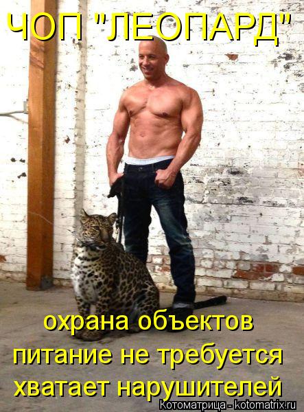 ЧОП "ЛЕОПАРД" охрана объектов питание не требуется хватает нарушителей... Котоматрица: ЧОП "ЛЕОПАРД" охрана объектов питание не требуется хватает нарушителей