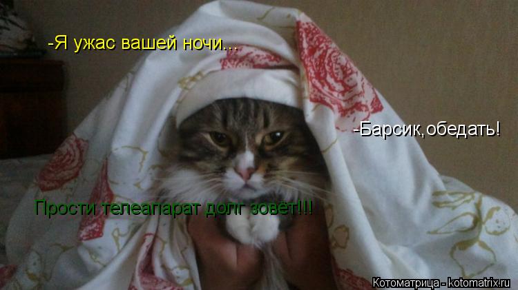 -Я ужас вашей ночи... -Барсик,обедать! Прости телеапарат долг зовёт!!!... Котоматрица: -Я ужас вашей ночи... -Барсик,обедать! Прости телеапарат долг зовёт!!!