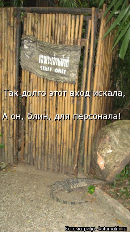 Так долго этот вход искала, А он, блин, для персонала!... Котоматрица: Так долго этот вход искала, А он, блин, для персонала!