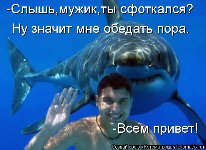-Слышь,мужик,ты сфоткался? Ну значит мне обедать пора. -Всем привет!... Котоматрица: -Слышь,мужик,ты сфоткался? Ну значит мне обедать пора. -Всем привет!
