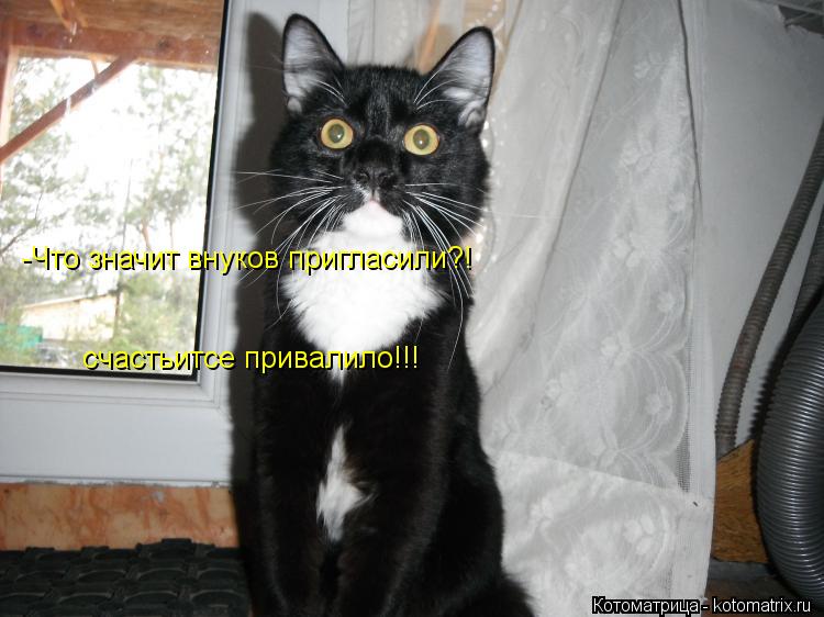 -Что значит внуков пригласили?! счастьитсе привалило!!!... Котоматрица: -Что значит внуков пригласили?! счастьитсе привалило!!!