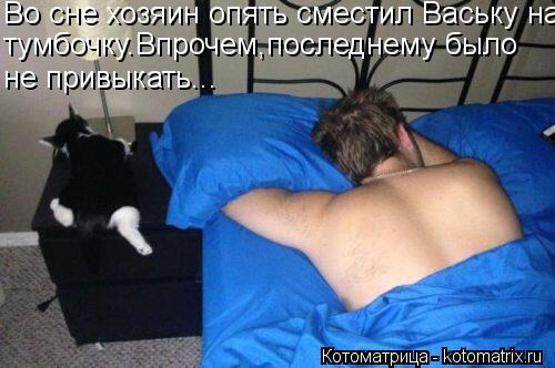 Во сне хозяин опять сместил Ваську на тумбочку.Впрочем,последнему было не привыкать...... Котоматрица: Во сне хозяин опять сместил Ваську на тумбочку.Впрочем,последнему было не привыкать...