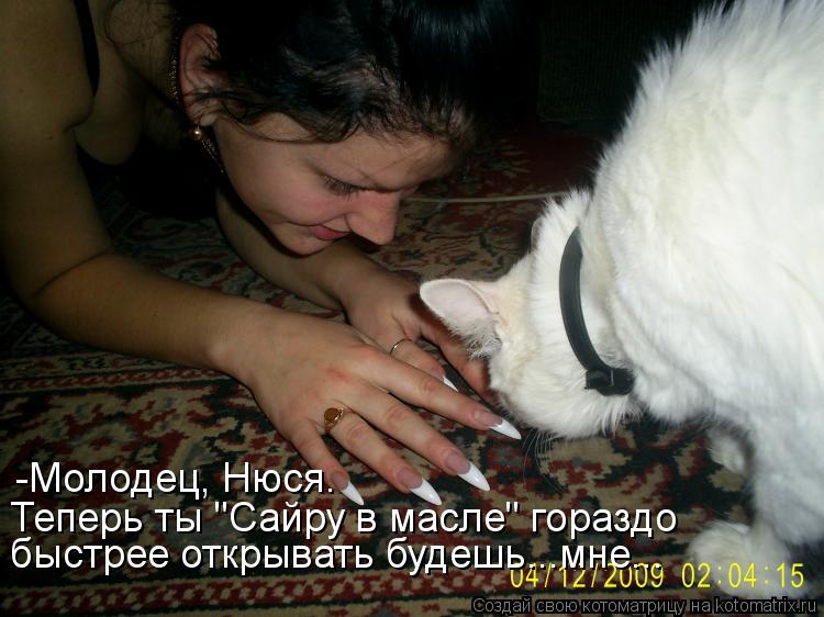-Молодец, Нюся. Теперь ты "Сайру в масле" гораздо быстрее открывать будешь...мне...... Котоматрица: -Молодец, Нюся. Теперь ты "Сайру в масле" гораздо быстрее открывать будешь...мне...