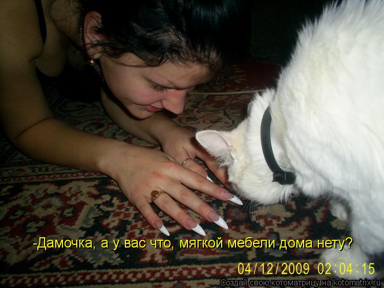 -Дамочка, а у вас что, мягкой мебели дома нету?... Котоматрица: -Дамочка, а у вас что, мягкой мебели дома нету?