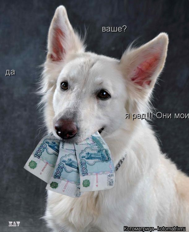 ваше? да я рад!!! Они мои... Котоматрица: ваше? да я рад!!! Они мои