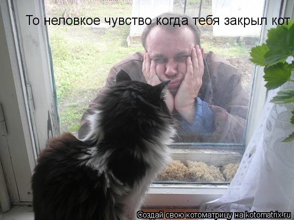 То неловкое чувство когда тебя закрыл кот... Котоматрица: То неловкое чувство когда тебя закрыл кот