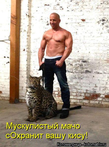 Мускулистый мачо сОхранит вашу кису!... Котоматрица: Мускулистый мачо сОхранит вашу кису!