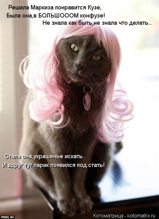 Решила Маркиза понравится Кузе, Была она,в БОЛЬШОООМ конфузе! Не знала как быть,не знала что делать..... Котоматрица: Решила Маркиза понравится Кузе, Была она,в БОЛЬШОООМ конфузе! Не знала как быть,не знала что делать.. Стала она,украшенье искать. И вдруг тут
