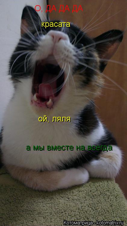 О, ДА ДА ДА красата ой, ляля а мы вместе на всегда... Котоматрица: О, ДА ДА ДА красата ой, ляля а мы вместе на всегда
