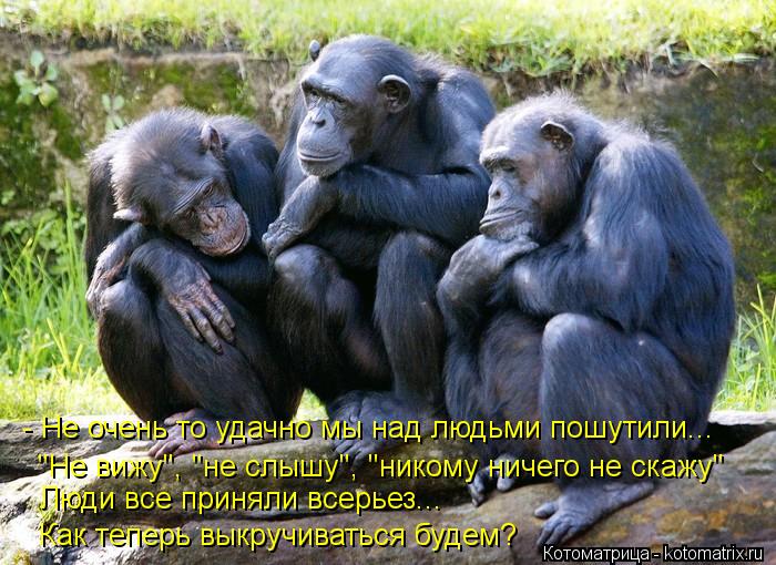 "Не вижу", "не слышу", "никому ничего не скажу" Люди все приняли всерьез... Как теперь выкручиваться ... Котоматрица: "Не вижу", "не слышу", "никому ничего не скажу" Люди все приняли всерьез... Как теперь выкручиваться будем? - Не очень то удачно мы над людьми пош