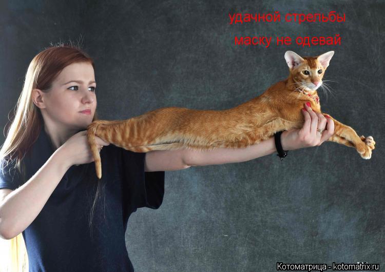 удачной стрельбы маску не одевай... Котоматрица: удачной стрельбы маску не одевай