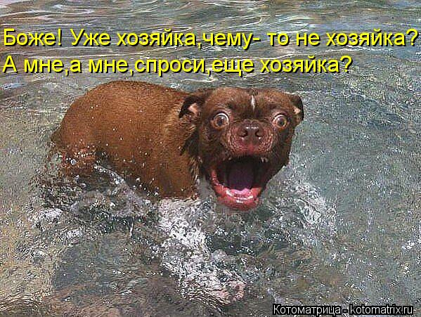 А мне,а мне,спроси,еще хозяйка? Боже! Уже хозяйка,чему- то не хозяйка?... Котоматрица: А мне,а мне,спроси,еще хозяйка? Боже! Уже хозяйка,чему- то не хозяйка?