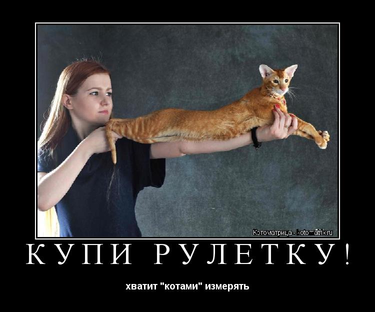 КУПИ РУЛЕТКУ! хватит "котами" измерять... Котоматрица: КУПИ РУЛЕТКУ! хватит "котами" измерять