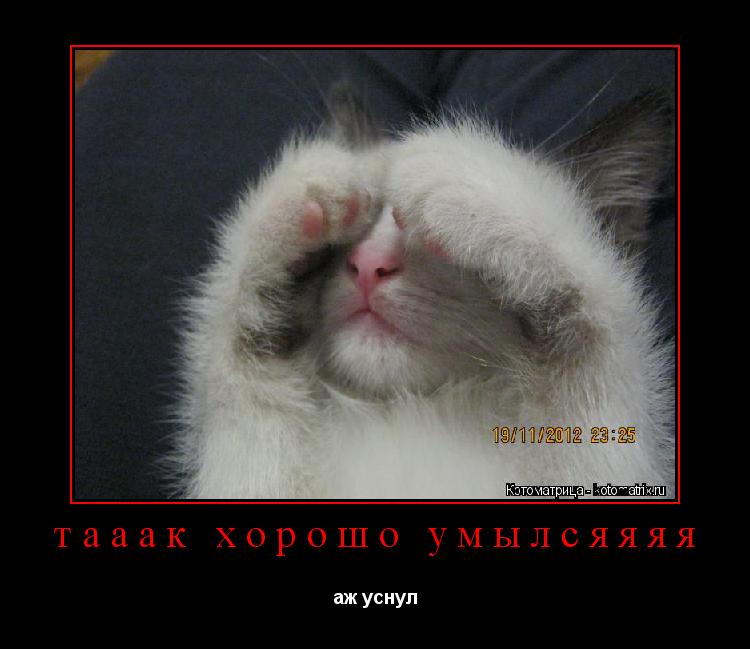 тааак хорошо умылсяяяя аж уснул... Котоматрица: тааак хорошо умылсяяяя аж уснул