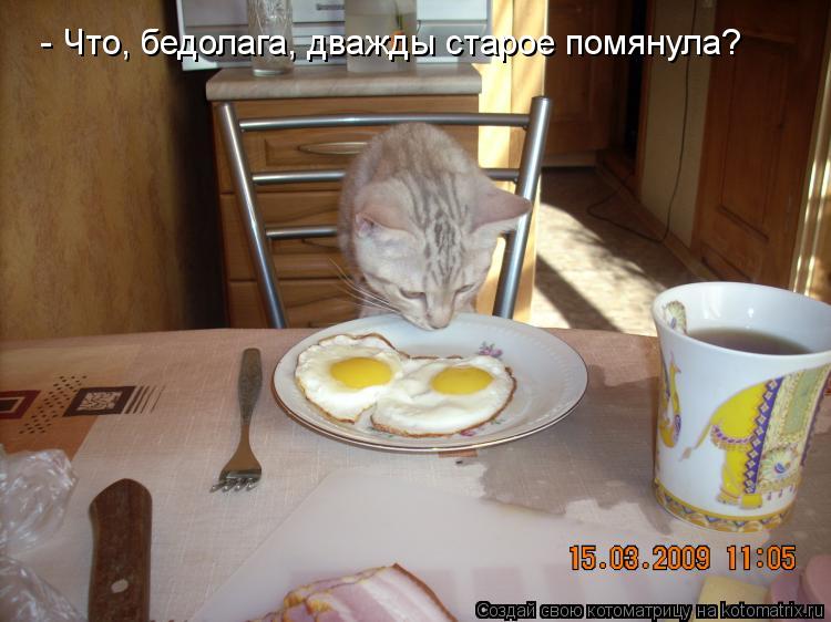 - Что, бедолага, дважды старое помянула?... Котоматрица: - Что, бедолага, дважды старое помянула?