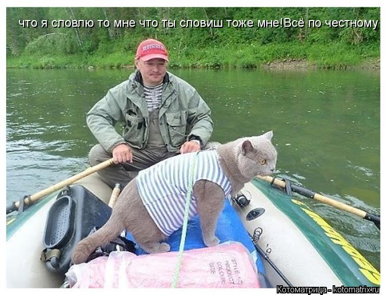 что я словлю то мне что ты словиш тоже мне!Всё по честному... Котоматрица: что я словлю то мне что ты словиш тоже мне!Всё по честному