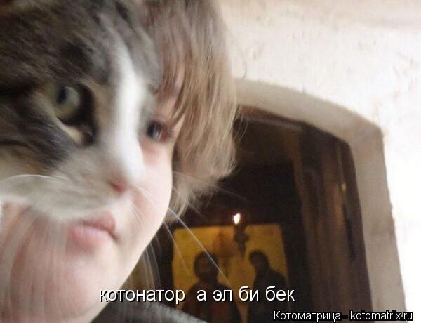 котонатор а эл би бек... Котоматрица: котонатор а эл би бек