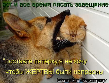 вот и все,время писать завещяние "поставте пятёрку,я не хочу чтобы ЖЕРТВЫ были напрасны... Котоматрица: вот и все,время писать завещяние "поставте пятёрку,я не хочу чтобы ЖЕРТВЫ были напрасны