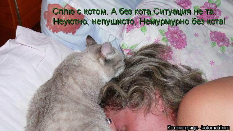 Сплю с котом. А без кота Ситуация не та: Неуютно, непушисто, Немурмурно без кота!... Котоматрица: Сплю с котом. А без кота Ситуация не та: Неуютно, непушисто, Немурмурно без кота!