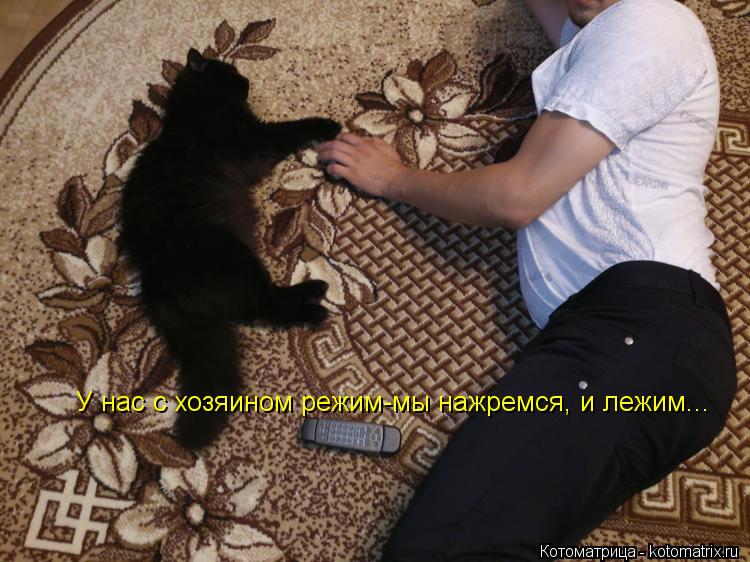 У нас с хозяином режим-мы нажремся, и лежим...... Котоматрица: У нас с хозяином режим-мы нажремся, и лежим...
