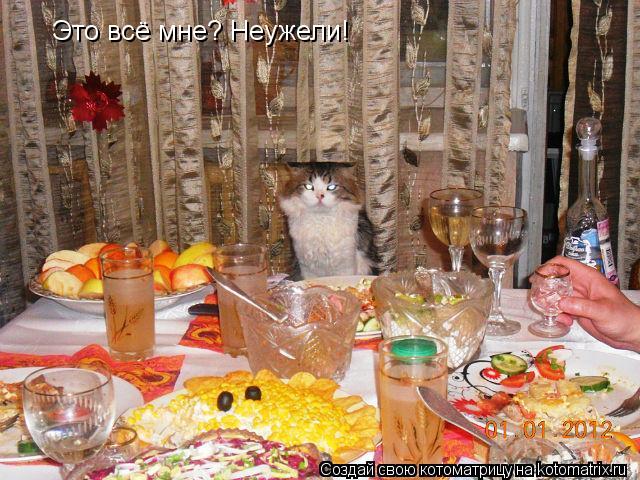 Это всё мне? Неужели!... Котоматрица: Это всё мне? Неужели!