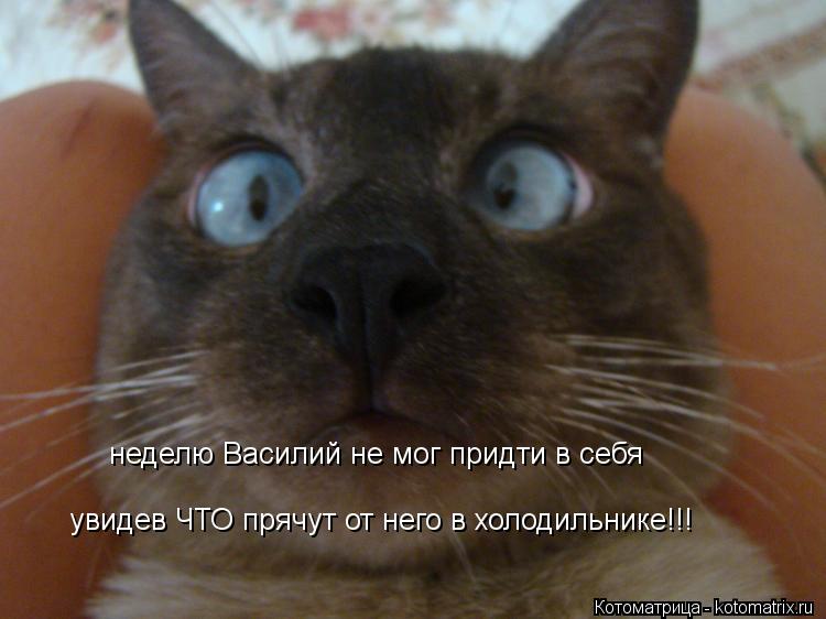 неделю Василий не мог придти в себя увидев ЧТО прячут от него в холодильнике!!!... Котоматрица: неделю Василий не мог придти в себя увидев ЧТО прячут от него в холодильнике!!!