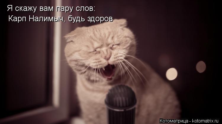 Я скажу вам пару слов: Карп Налимыч, будь здоров... Котоматрица: Я скажу вам пару слов: Карп Налимыч, будь здоров