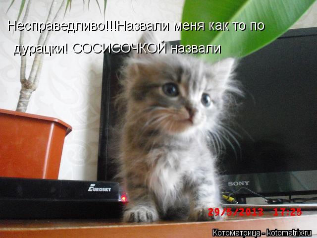 Несправедливо!!!Назвали меня как то по дурацки! СОСИСОЧКОЙ назвали... Котоматрица: Несправедливо!!!Назвали меня как то по дурацки! СОСИСОЧКОЙ назвали
