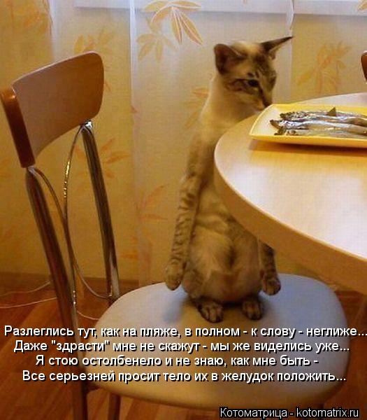 Разлеглись тут, как на пляже, в полном - к слову - неглиже... Даже "здрасти" мне не скажут - мы же ви... Котоматрица: Разлеглись тут, как на пляже, в полном - к слову - неглиже... Даже "здрасти" мне не скажут - мы же виделись уже... Я стою остолбенело и не знаю, как